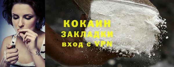 дурь Каменка