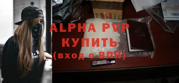 гидра Тында