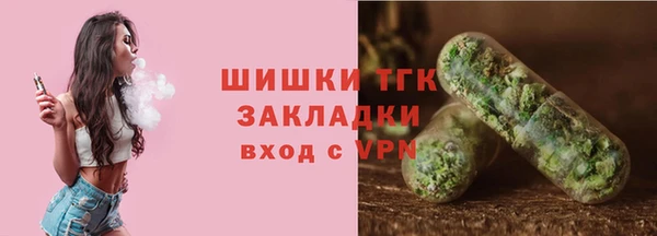 дурь Каменка