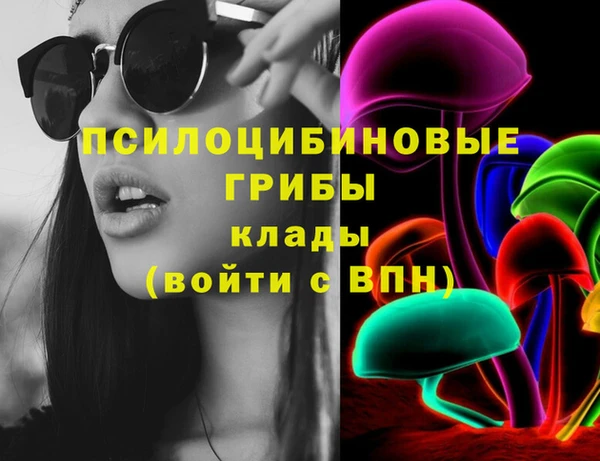 дурь Каменка