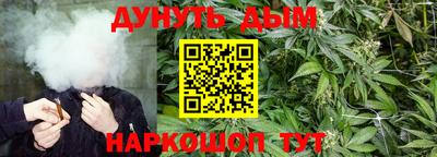 Альфа ПВП Донской