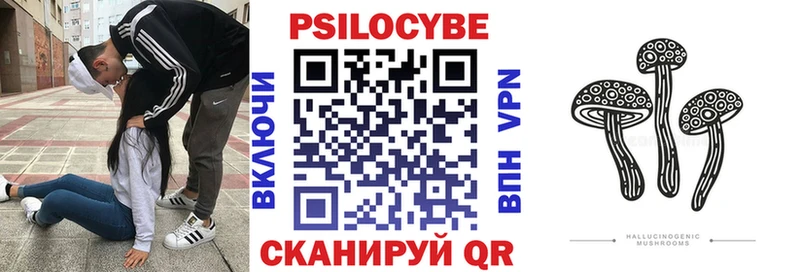 даркнет сайт  Ростов-на-Дону  Псилоцибиновые грибы Psilocybe 