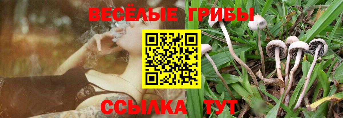 Псилоцибиновые грибы ЛСД Ростов-на-Дону